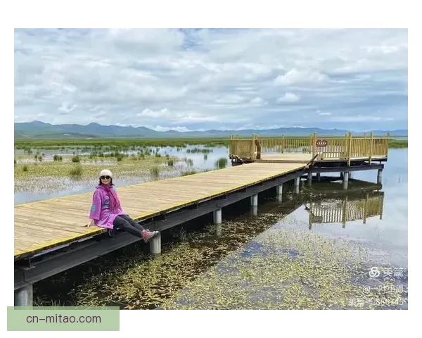 伊人免费：一场穿越时光的温柔邀约